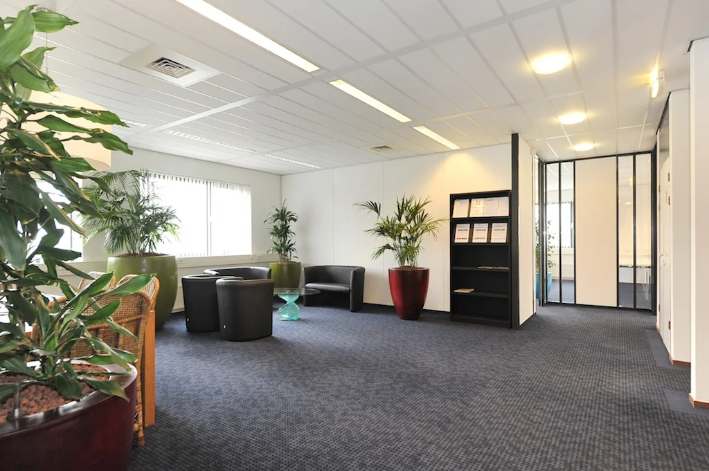 Moderne wachtruimte aan de Laan van ’s-Gravenmade met zitgelegenheid, grote planten en strakke kantoorinrichting.